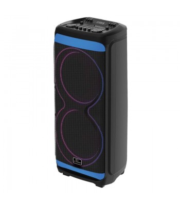 Elekom EK-1299 XB Активна тонколона