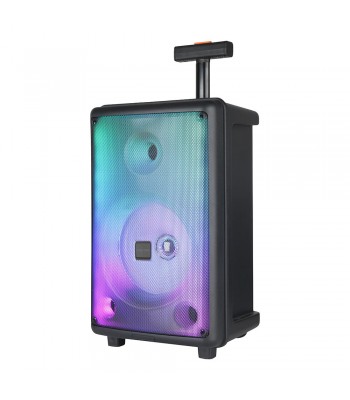 Rancore RS111XR Активна тонколона