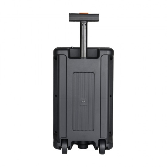 Rancore RS111XR Активна тонколона