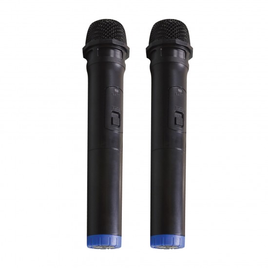 Rancore RS111XR Активна тонколона