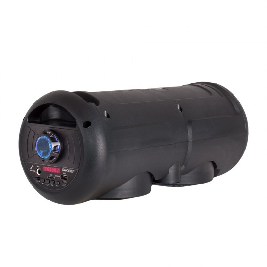 Rancore RS441 Активна тонколона