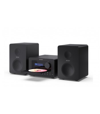 Sharp XL-B520D Аудио система