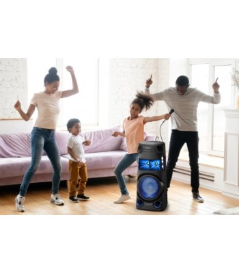 Sony MHC-V43D Аудио система