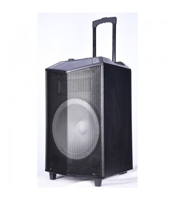 Finlux PBS-5015H Аудио система