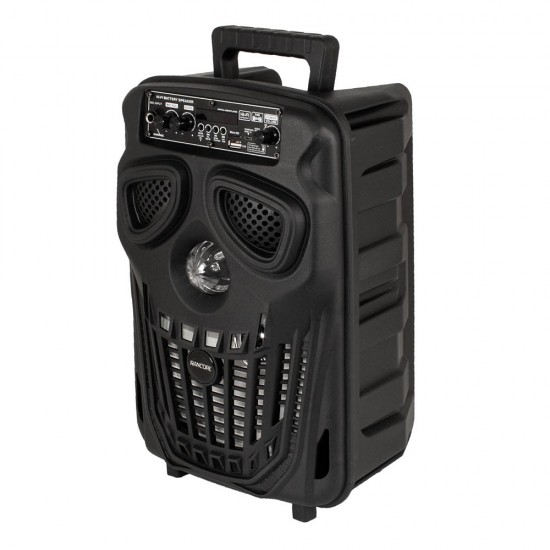 Rancore RS81X Активна тонколона