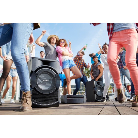 Sony Shake-X30 Аудио система