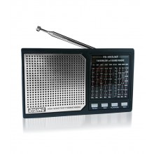 Rising RS-3003 UAR Радио