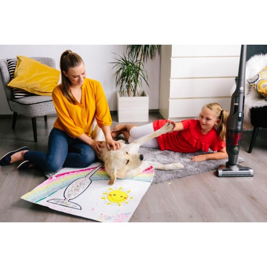 Gorenje SVC252GFA Прахосмукачка