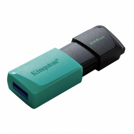 Kingston Data Traveler Exodia M 256GB Преносима памет