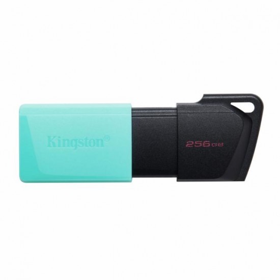 Kingston Data Traveler Exodia M 256GB Преносима памет