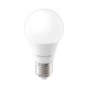 Forever Light RTV9000005 Крушка