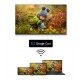 Thomson 43QG5C14 Телевизор