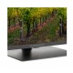 Thomson 43QG5C14 Телевизор