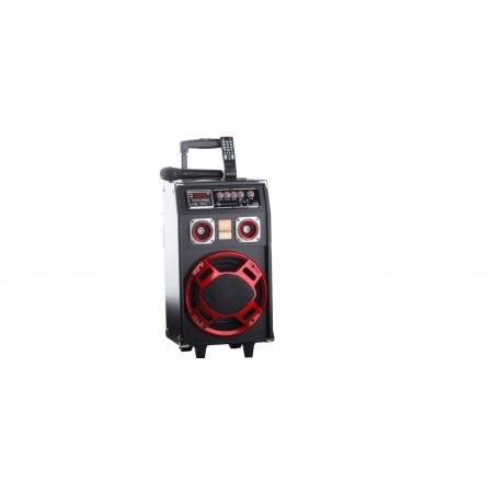 Pasat D920