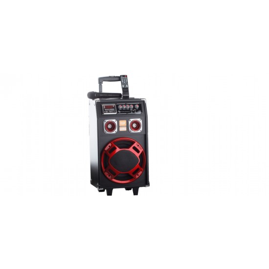 Pasat D920
