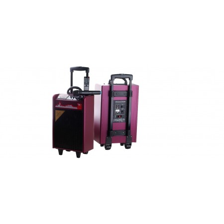 Pasat K26