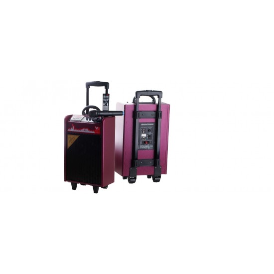 Pasat K26