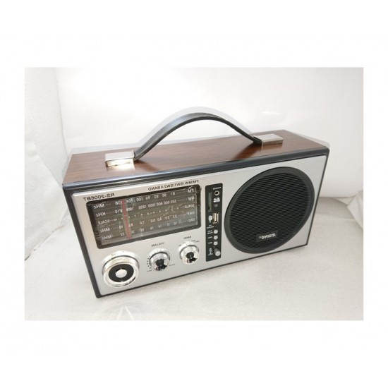 Rising RS-2006BT Преносимо радио