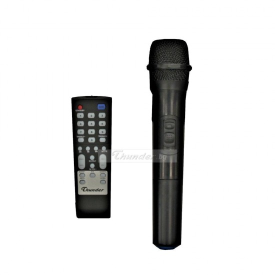 Thunder THS-10BT