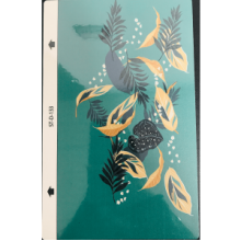 Devia DV0026 Intelligent Colorful Film ST-D-133 Кейс
