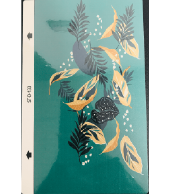 Devia DV0026 Intelligent Colorful Film ST-D-133 Кейс
