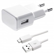 Delphi 14859 220V 2A MicroUSB Зарядно